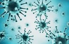 Informações Sobre Covid